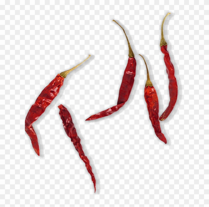 pepper red dry chilli png transparent png 640x751 149711 pngfind red dry chilli png transparent png