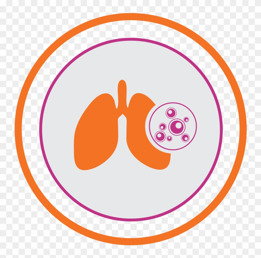 Lung Transplant - Liver Transplant, HD Png Download - 750x750(#1408589