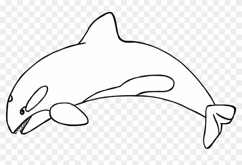 orca clipart