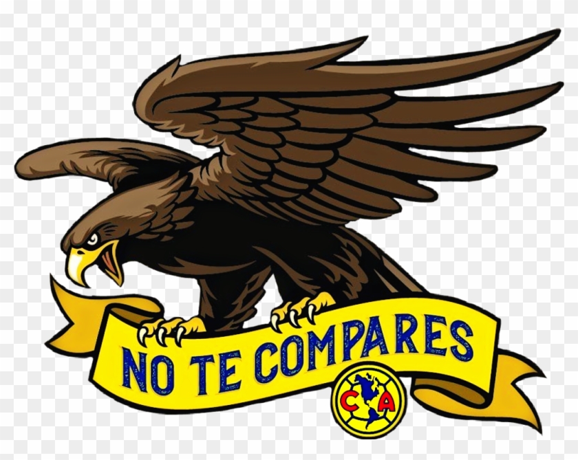 Aguila Sticker - Eagle Grip A Ribbon, HD Png Download - 1024x767(#1446553)  - PngFind