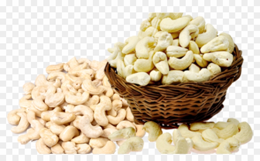 cashew nut suppliers in konkan