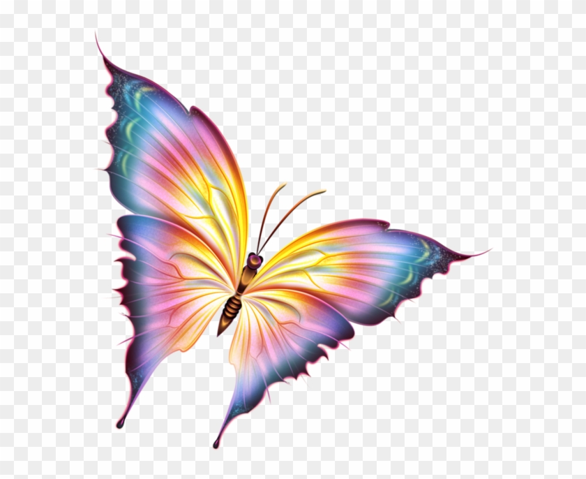 Papillons Butterfly Tubes Borboleta Mariposa Png Borboleta - Clip Art ...