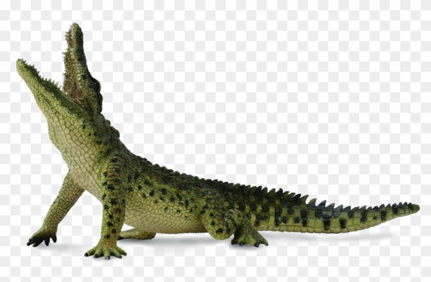 crocodile transparent image collecta nile crocodile hd png download 1200x734 1483365 pngfind crocodile transparent image collecta