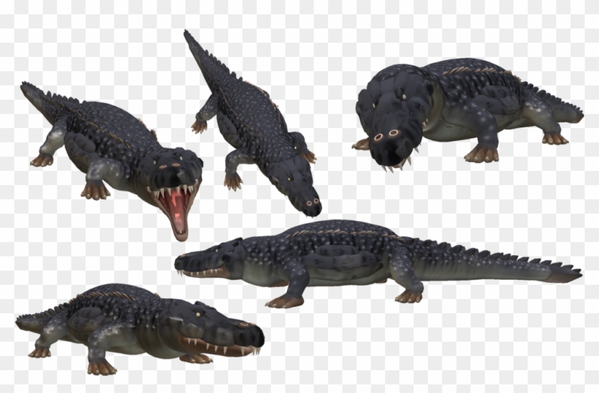 saltwater crocodile png photo creature crocodile transparent png 1024x640 1483690 pngfind saltwater crocodile png photo