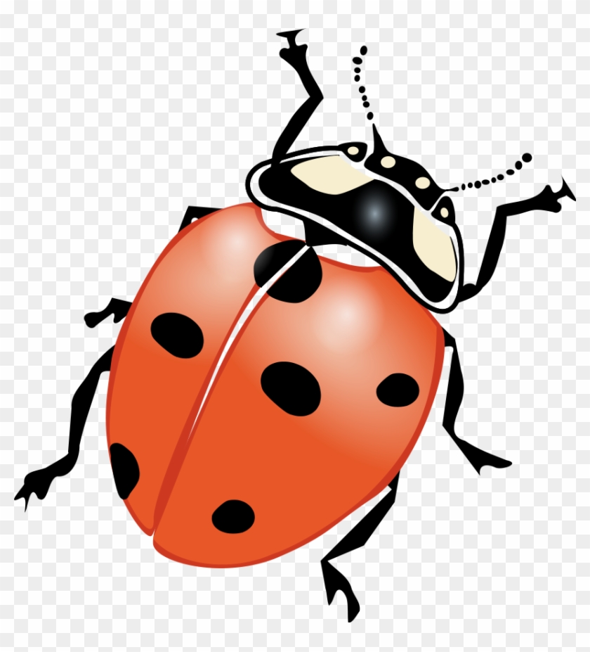 Download How To Set Use Ladybug Svg Vector, HD Png Download ...