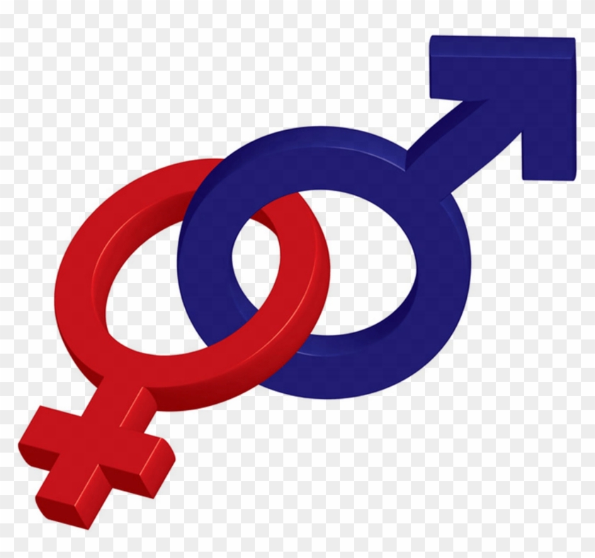Male And Female Symbol Transparent Gender And Development Sign Hd Png Download 1461x1303 Pngfind
