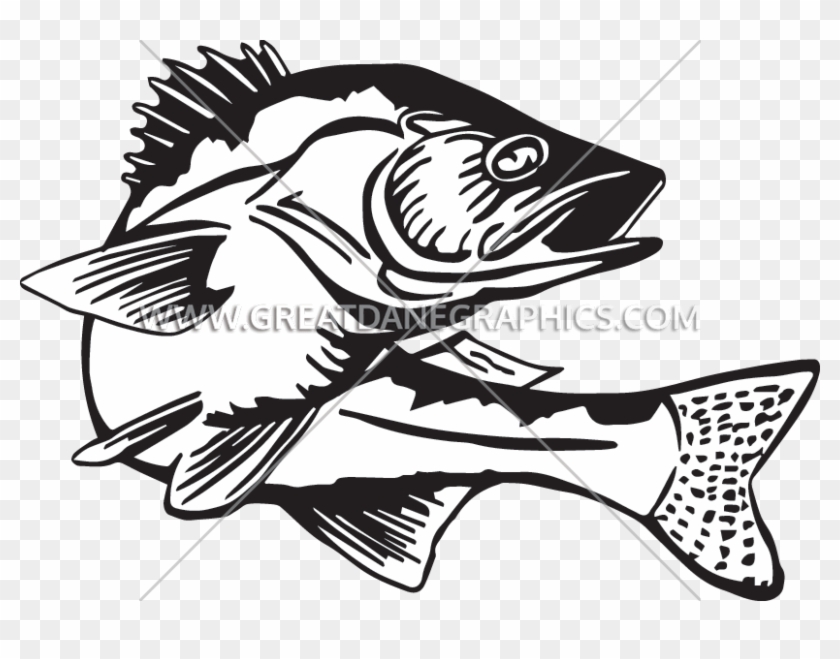 Download Banner Royalty Free Bass Fishing Clipart Black And White Walleye Hd Png Download 825x579 1543866 Pngfind