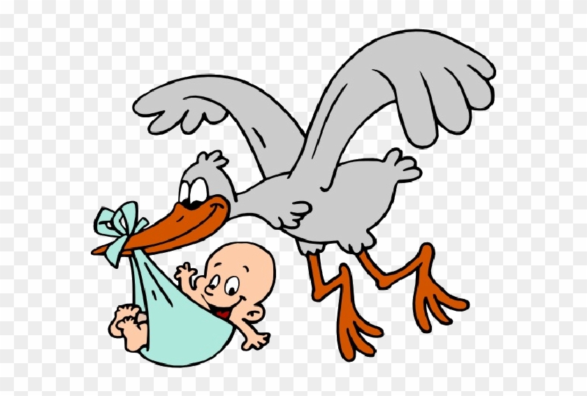 Stork With Baby Clipart Stork Carrying Ba Boy Cartoon Stork Carrying Baby Clipart Hd Png Download 600x600 Pngfind