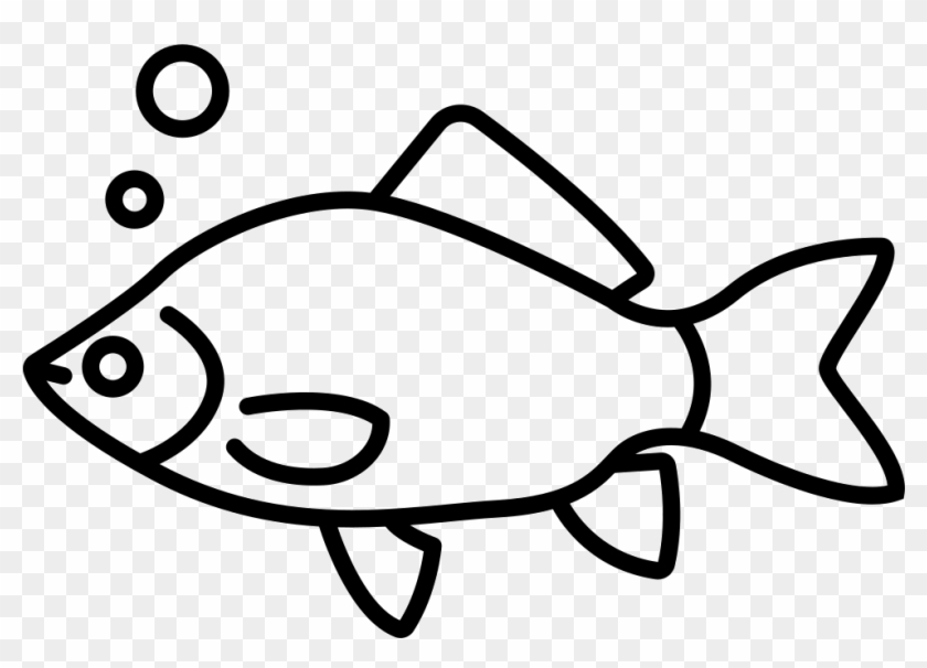 Free Png Parrot Fish Line Art Png Image With Transparent - Coral