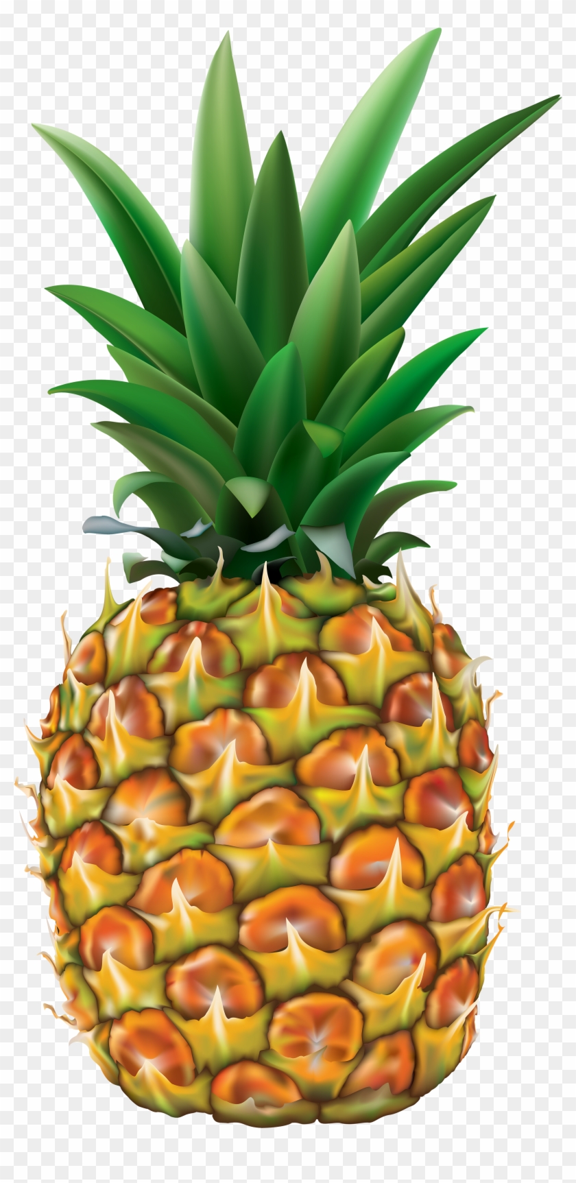 Pineapple Transparent Png Clip Art Image - Pineapple Clip Art, Png ...