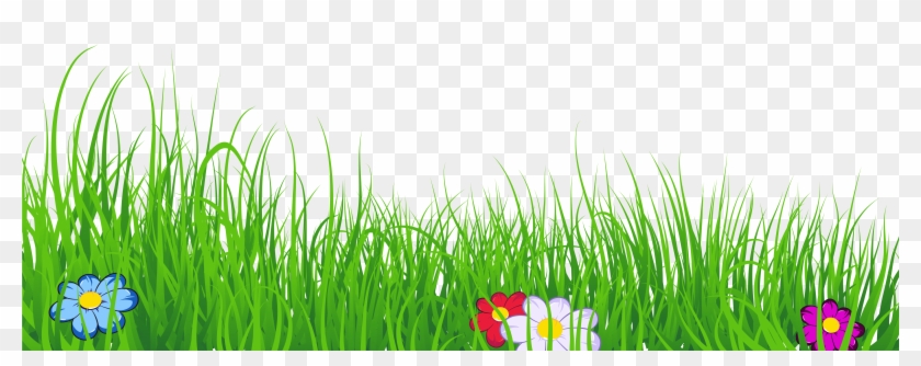 Grass Clipart Transparent Background Grass Clipart - Grass Clipart Clear  Background, HD Png Download - 6000x2460(#166469) - PngFind