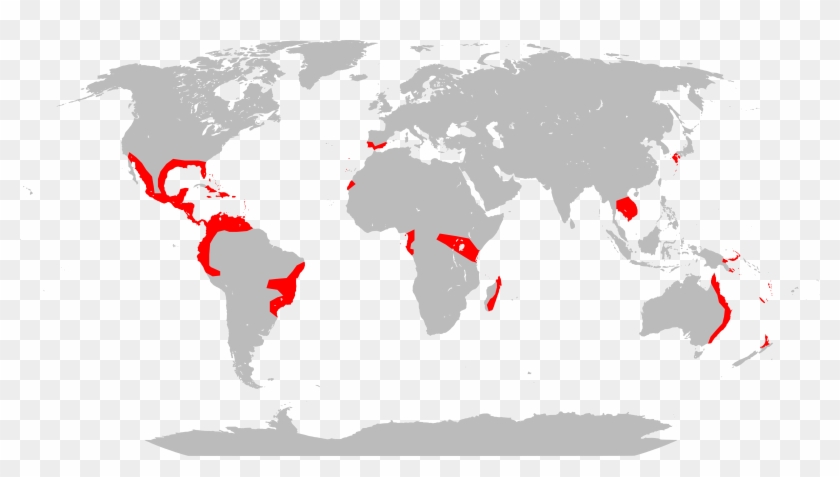 Global Distribution Of Lantana Camara - World Map With Antarctica, HD ...