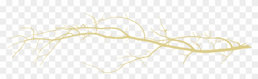 Divider Branch Light 1692 454 Branch Divider Png Transparent Png 1692x454 Pngfind