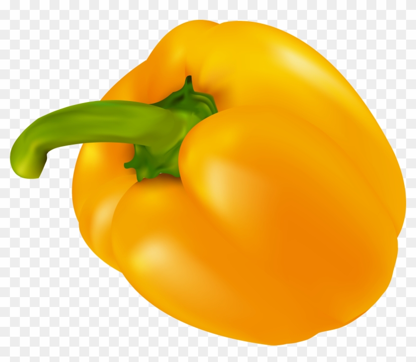 habanero bell pepper yellow habanero png transparent png 3001x2471 1629934 pngfind habanero bell pepper yellow habanero