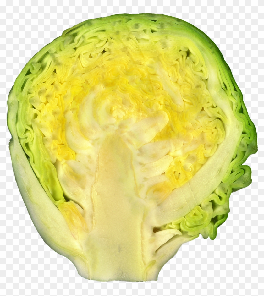 brussel-sprout-hd-png-download