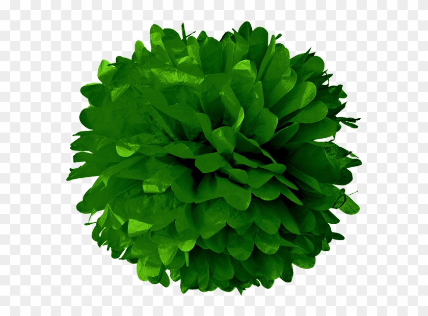 Dark Green Tissue Pom Poms Hd Png Download 581x540 Pngfind