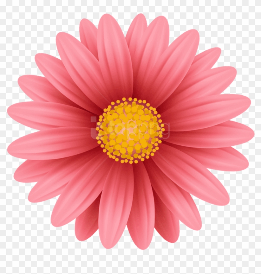 Free Png Download Red Flower Png Png Images Background - Flower ...