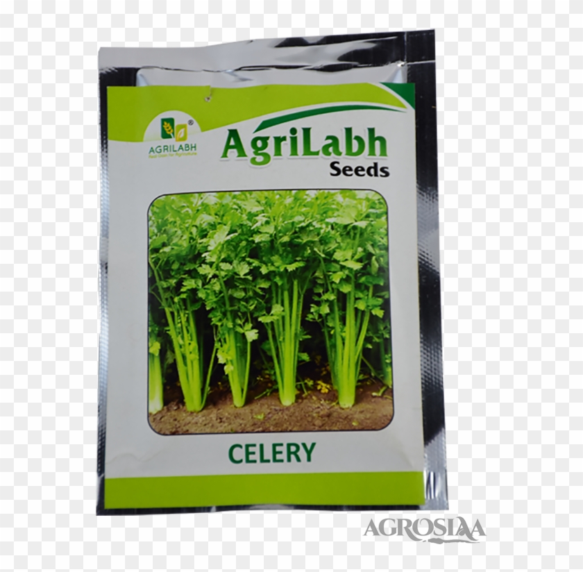 Celery leaves in malayalam sale