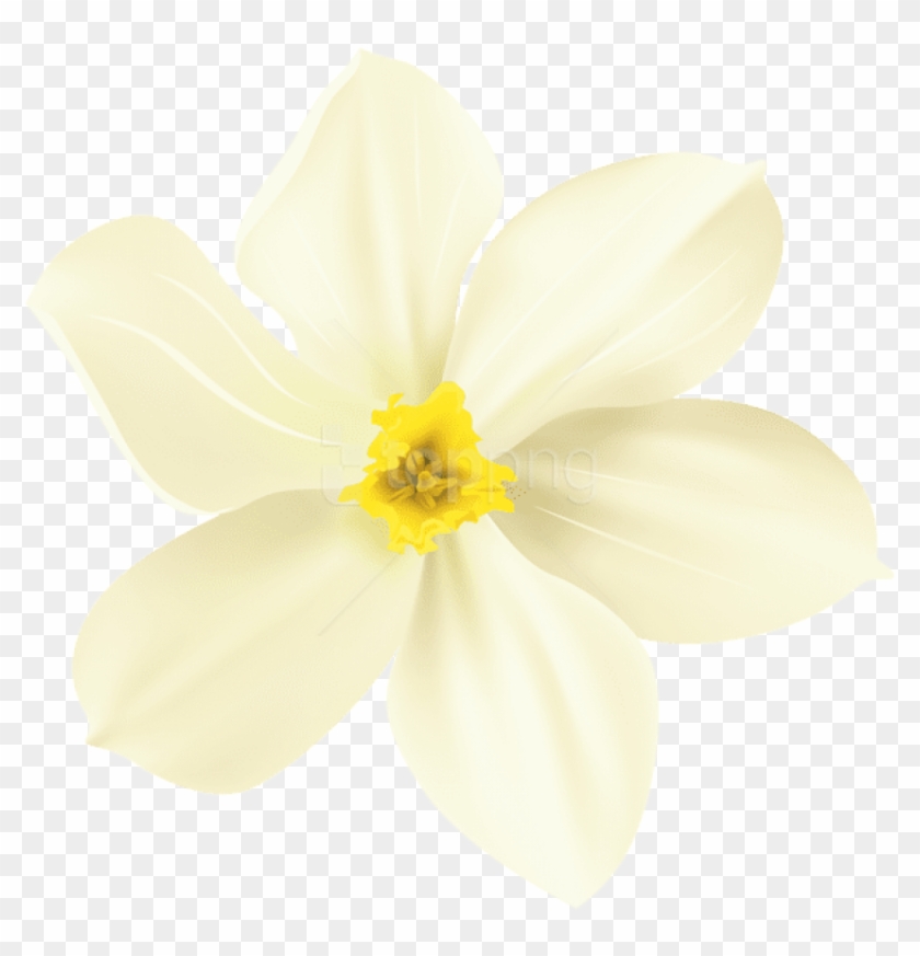 Free Png Spring Flower Decorative Transparent Png Images - Rain Lily ...