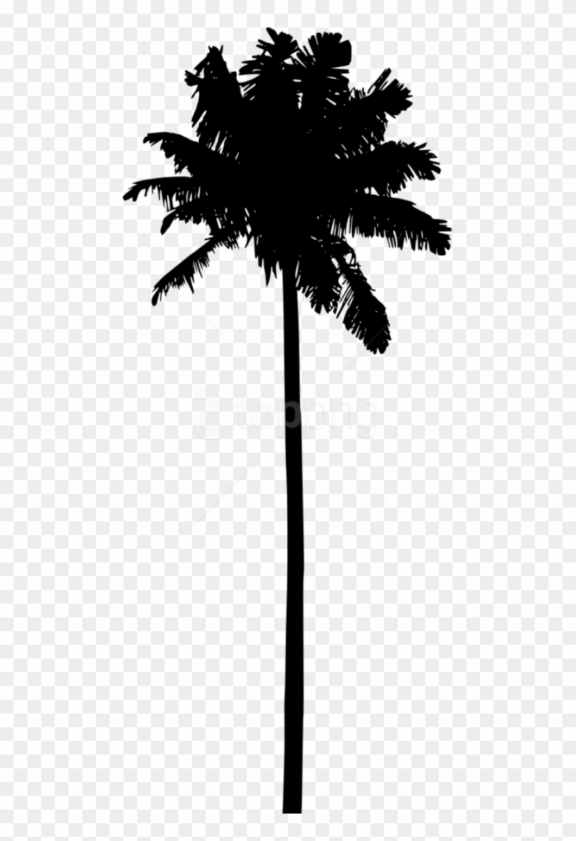 Download Free Png Palm Tree Silhouette Png Transparent Palm Tree Silhouettes Png Download 481x1146 1667110 Pngfind