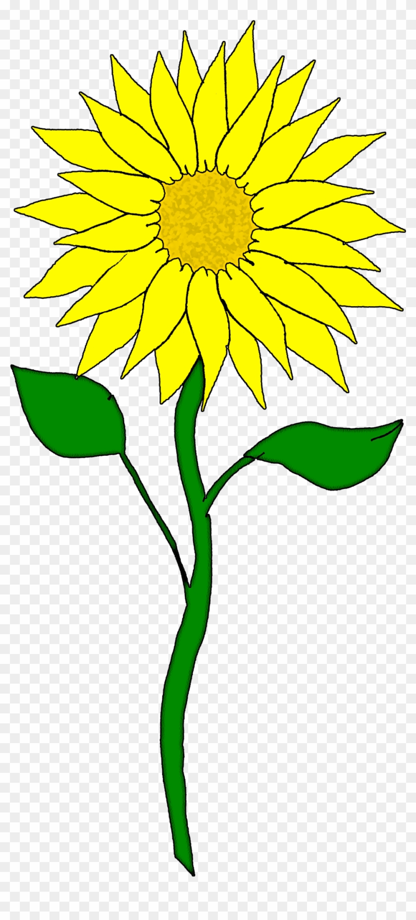Free Free 247 Watercolor Sunflower Clipart Free SVG PNG EPS DXF File
