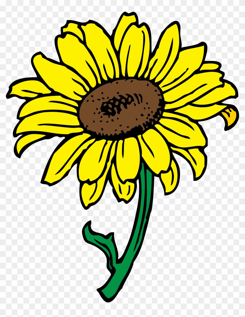 Free Free 237 Clipart Sun Flower Clipart Transparent Background Sunflower Sunflower Png SVG PNG EPS DXF File
