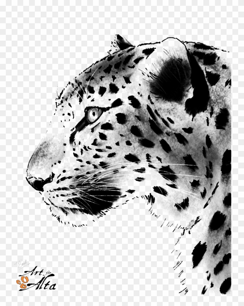 Leopard Face Png Picture Leopard Drawing Black And White Transparent Png 751x1024 Pngfind
