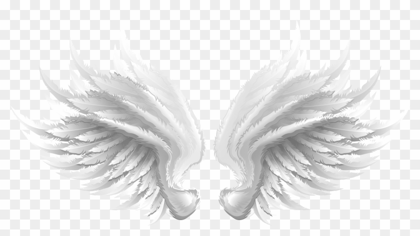 Swan Clipart Wings - White Wings, HD Png Download - 5000x2576(#1717337 ...