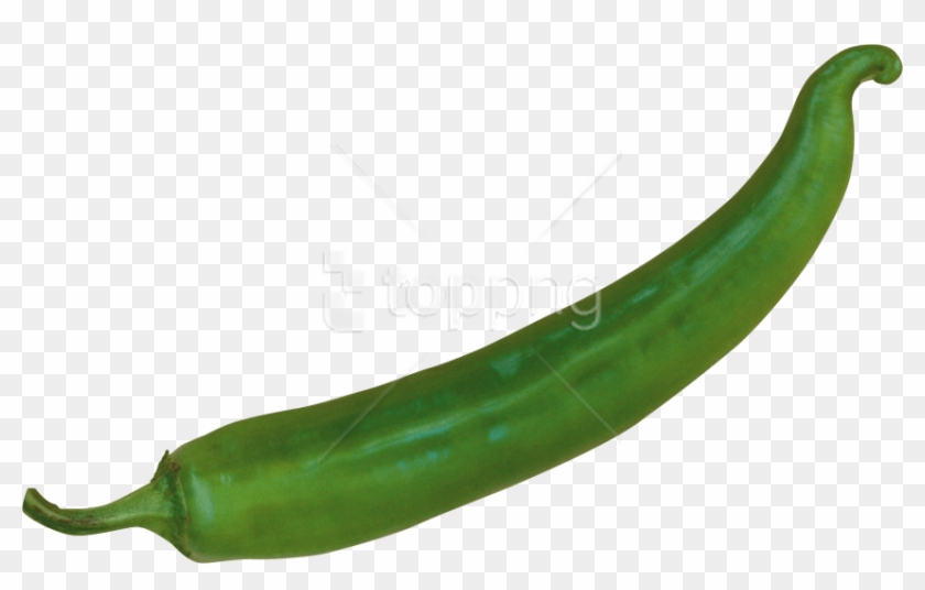 free png download pepper png images background png green chili pepper png transparent png 850x502 1749546 pngfind free png download pepper png images