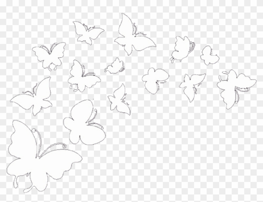 Featured image of post White Butterfly Png For Editing