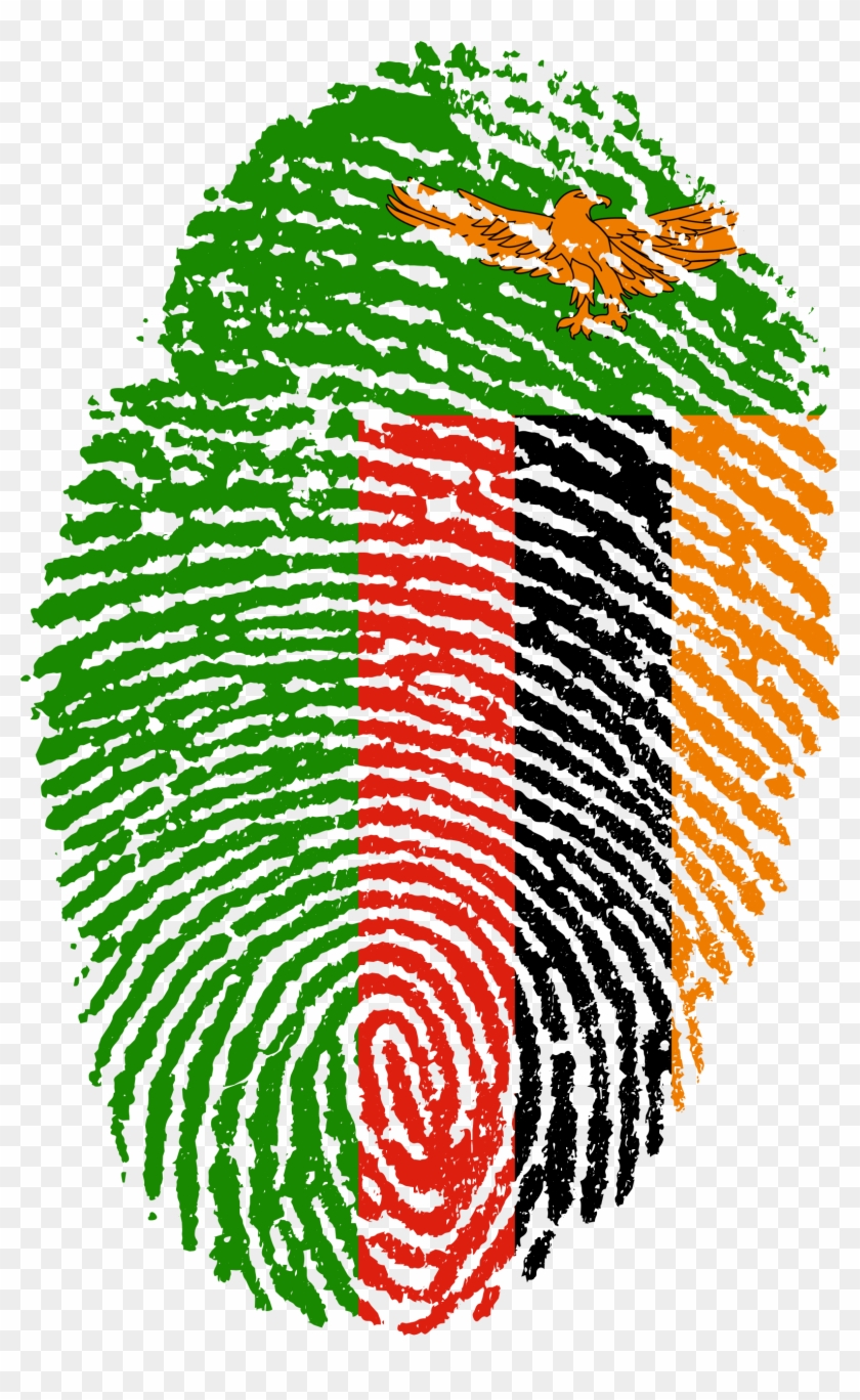 Zambia Flag Fingerprint Country 654172 Zambia Symbols Of National 