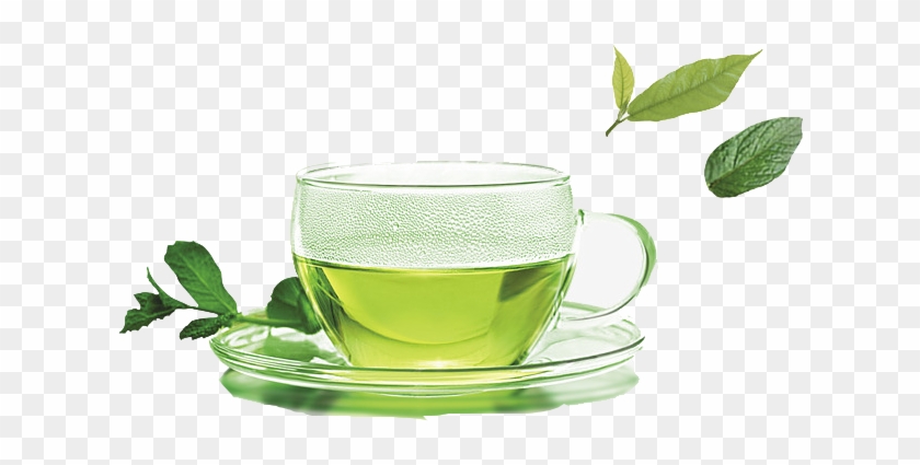 Green Tea png download - 495*570 - Free Transparent Tea png Download. -  CleanPNG / KissPNG
