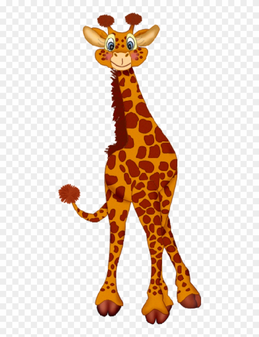 giraffe png image giraffe clipart png transparent png 1024x1024 1818039 pngfind giraffe png image giraffe clipart png