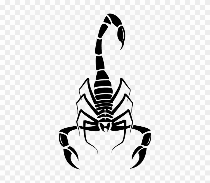 Scorpio Png Image Background, Transparent Png - 650x650(#1855770) - PngFind