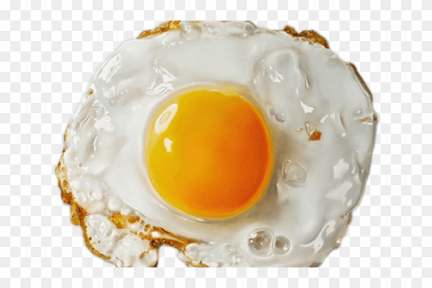 egg png download - 4096*4096 - Free Transparent Fried Egg png Download. -  CleanPNG / KissPNG