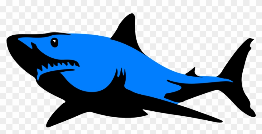 Free Free 162 Great White Shark Svg Free SVG PNG EPS DXF File