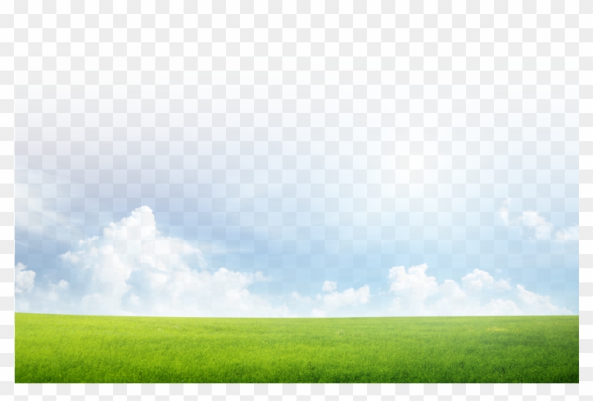 Grass And Sky Png, Transparent Png - 960x619(#192805) - PngFind