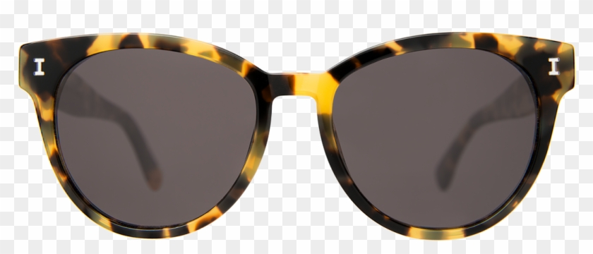 illesteva york tortoise sunglasses