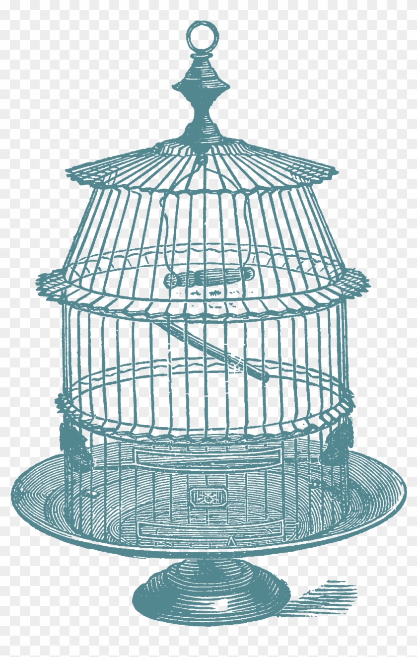 antique birdcage drawing