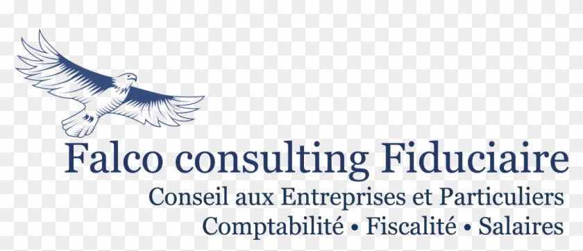 S s consulting