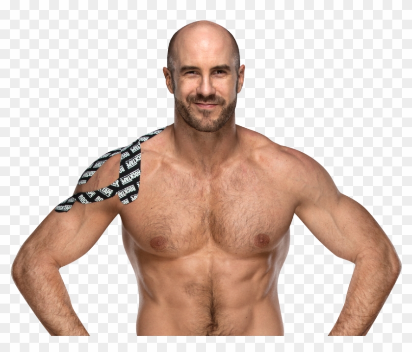 Cesaro Png Download Image Sheamus And Cesaro Png Transparent Png 993x804 Pngfind