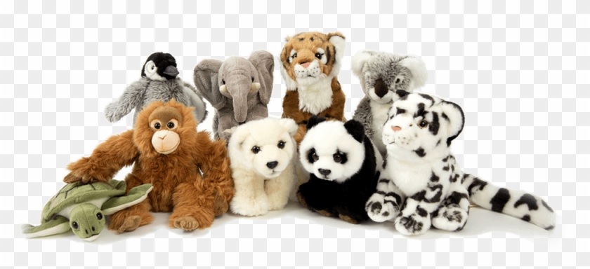 adopt a stuffed animal