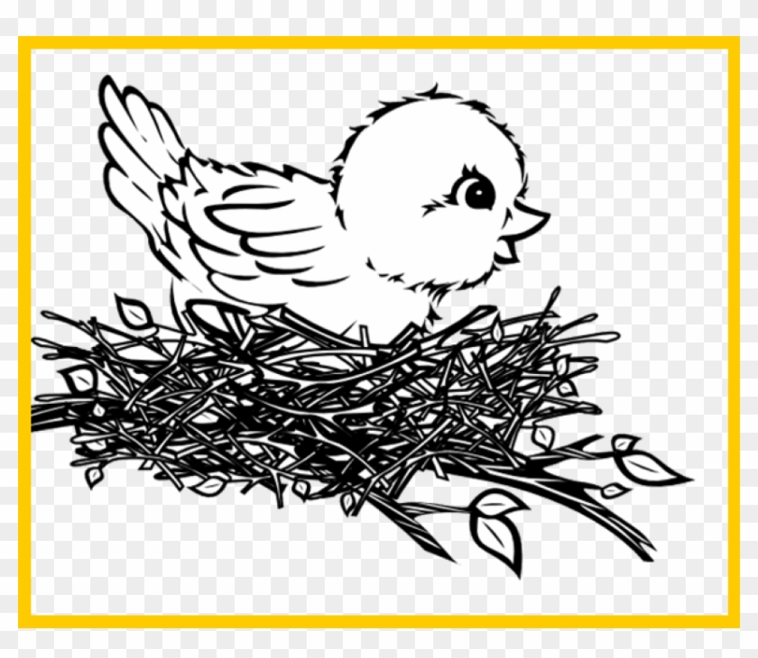 How to draw bird's nest and birds? — Steemit