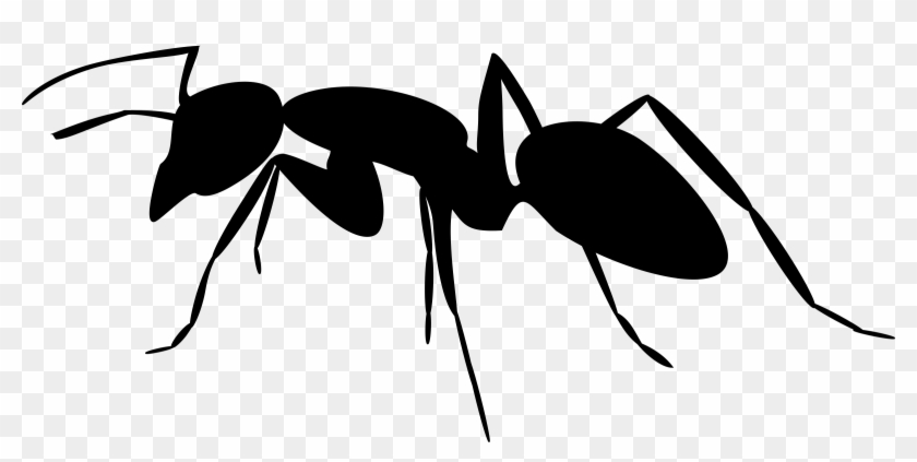 Svg Transparent Library Ant Silhouette Big Image Png Ant Silhouette Png Png Download 2400x1097 200124 Pngfind