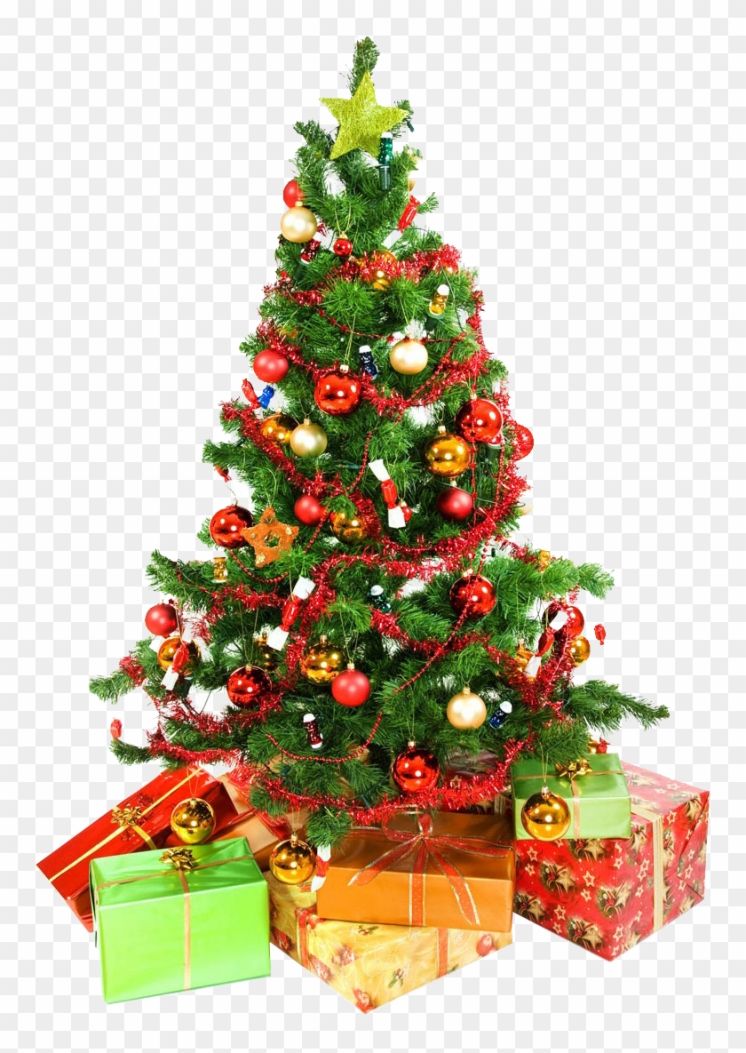 Christmas Tree, HD Png Download - 760x1160(#202783) - PngFind