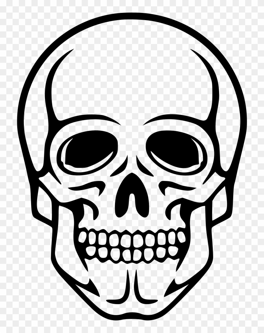 Png File - Skeleton, Transparent Png - 732x980(#2024197) - PngFind