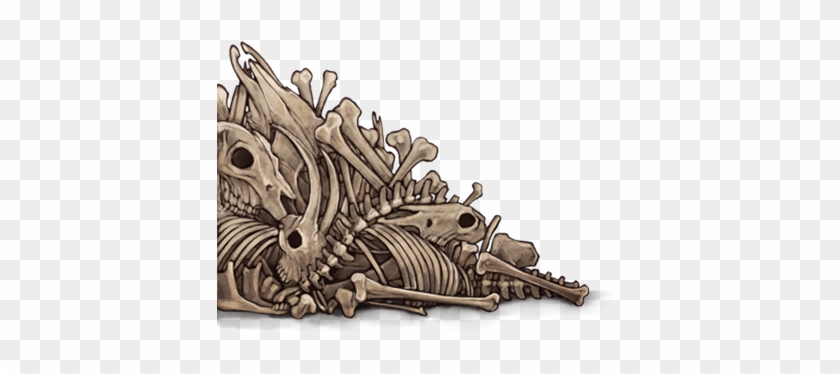 Pile Of Bones Png, Transparent Png - 640x500(#2032284) - PngFind