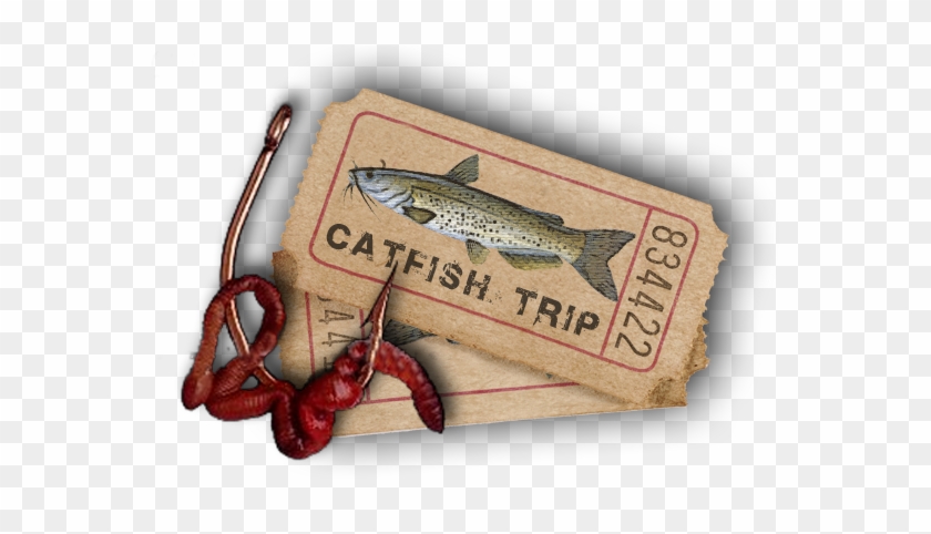 Denali Bottom Feeder Catfish Casting Rod