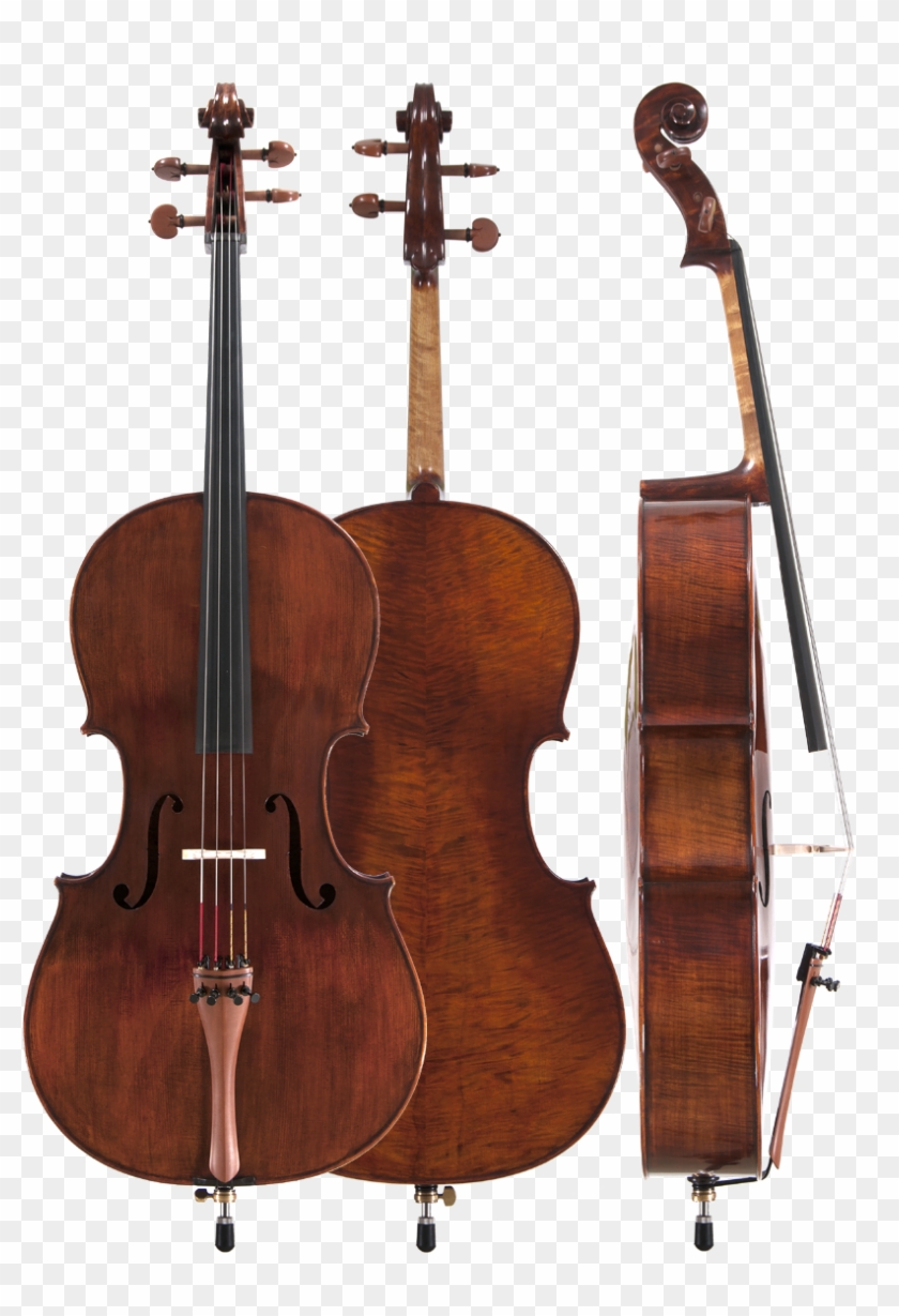 Violin Viola Cello Double Bass