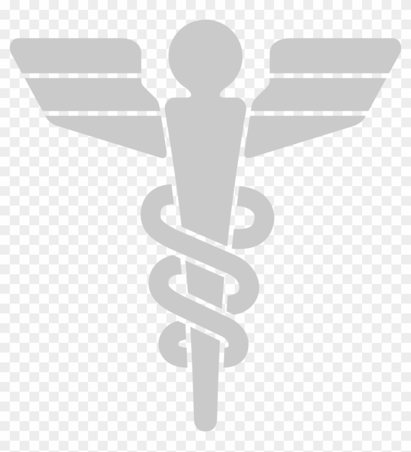 Doctor Symbol Clipart Life Saver - Emblem, HD Png Download - vhv